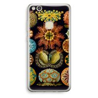 Haeckel Ascidiae: Huawei Ascend P10 Lite Transparant Hoesje