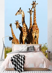 Vlies fotobehang Giraffenfamilie