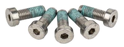 ANP BOUT M5X14 INBUS DIN 7974 LOCK RVS DS A 5