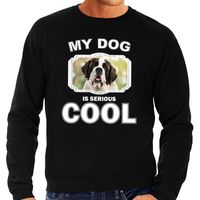 Sint bernard honden sweater / trui my dog is serious cool zwart voor heren - thumbnail