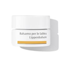 Dr. Hauschka Gezichtsverzorging Lipverzorging Lippenbalsem Lipbalsem 4.5ml