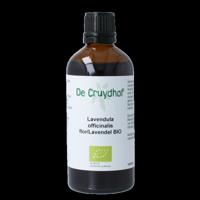 Cruydhof Lavandula officinalis flor tinctuur bio 100 Milliliter