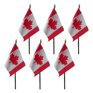 Canada - 6x - mini vlaggetje van 10 x 15 cm op stokje - Landen vlag - H27 cm