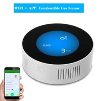 Draadloze gasdetector alarm lekkage sensor aardgas lek detector (gemeenschappelijk on-site hoorbaar en Vision alarm)