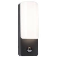 Paulmann Bonnie PIR 94851 LED-buitenlamp (wand) LED 8.5 W Antraciet - thumbnail