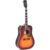 Sigma Guitars SDM-SG5 Autumn Burst Gloss elektrisch-akoestische westerngitaar met softcase
