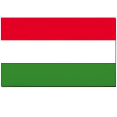 Vlag van Hongarije - 90 x 150 cm - feestartikelen - landen thema - supporters - versiering Vlag van Hongarije - 90 x 150 cm - feestartikelen - landen thema - supporters - versiering