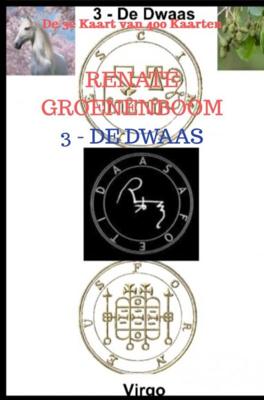 De Dwaas - Renate Groenenboom - ebook