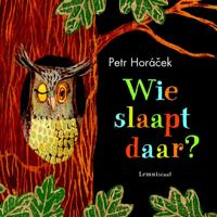 Wie slaapt daar? (Kartonboek)