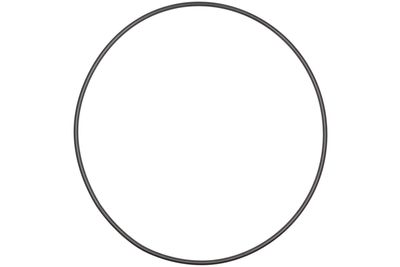 Schwalbe airless rim ring 12 mm sas02