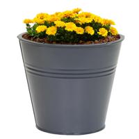 Plantenpot/bloempot Bob - rond - zink - antraciet - D15 X H13 cm