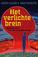 Het verlichte brein (Paperback)