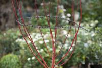 Heesterband zwart 54 cm set a 3 stuks - Nature