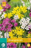Allium Species Mix, 20 bloembollen - JUB
