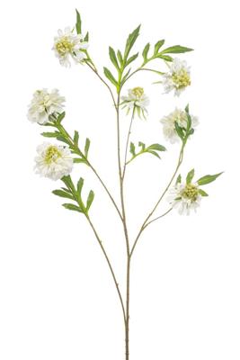 Scabiosa spray white 113 cm - Emerald