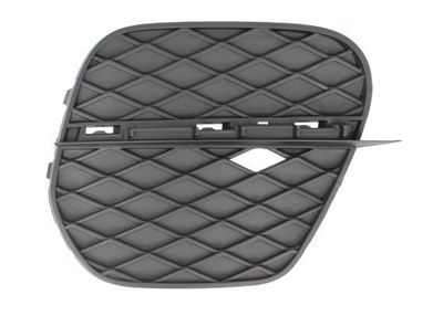 Ventilatiegrille, bumper 6502070096916P