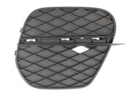 Ventilatiegrille, bumper 6502070096916P
