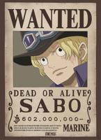 Poster One Piece Wanted Sabo 38x52cm