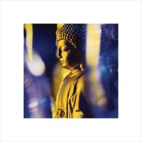 Kunstdruk Blue Buddha 40x40cm