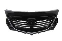 Radiateurgrille 6502073499993P
