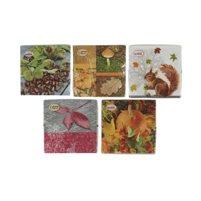 Deco Heitmann Servetten herfst 33x33cm
