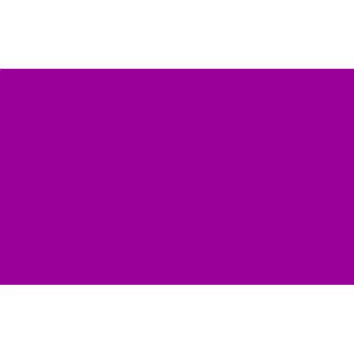 Kleuren thema vlag - paars - 150 x 90 cm - polyester