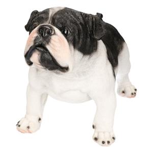 Dierenbeeld Engelse Bulldog - polystone - staand - 41 x 21 x 27 cm - huisdieren honden beeldjes