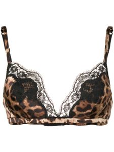 Dolce & Gabbana soutien-gorge à motif léopard - Marron