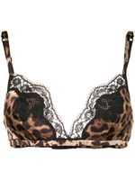 Dolce & Gabbana soutien-gorge à motif léopard - Marron - thumbnail