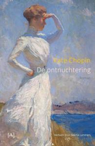 De ontnuchtering (Paperback)