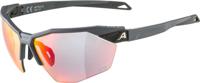 Alpina Twist Six HR QV - Sports Glasses
