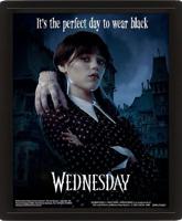 Wednesday 3D Lenticular Framed Poster Perfect Day 26 X 20 Cm