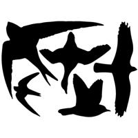 Raamstickers vogels - 5x st - zwart - vogel silhouet stickers