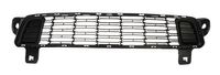 Ventilatiegrille, bumper 6502070560910P
