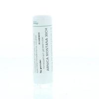 Arnica montana 30CH 6 Gram