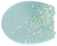 Schutte Duroplast WC-bril FLOWER IN THE WIND met soft-close en quick-release 82381