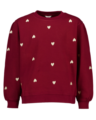 Sweater - Rood