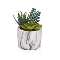 Decoratieve plant Versa Keramisch Plastic Fusion Vetplant 9 x 15 x 9 cm