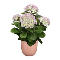 Hortensia kunstplant/kunstbloemen 45 cm - paars/groen - in pot roze glans