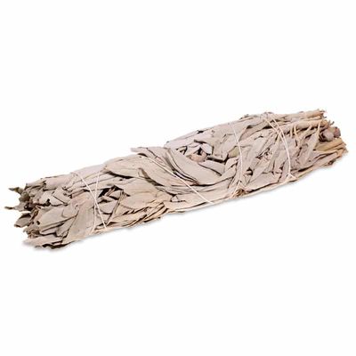 Witte Salie Smudge Stick (23 cm)