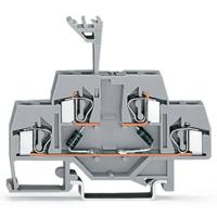 WAGO 281-636/281-487 Diodeklem 2-etages 6 mm Spanveer Toewijzing: L Grijs 50 stuk(s)