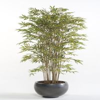 Emerald Kunstplant Japanse bamboe 150 cm - thumbnail