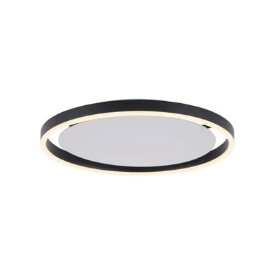 Paul Neuhaus Led plafonnièreRitus Ø 40cm - 15391-13