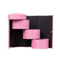 Mode cilindrische rotatie ladder sieraden opslaghouder Earring organisator vak geval (roze)