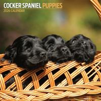 Engelse Cocker Spaniel Puppies Kalender 2026