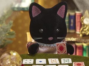 Sylvanian Families familie nacht kat