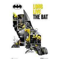 Poster DC Comics 80 Anniversary Batman 61x91,5cm