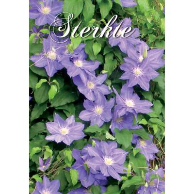 Wenskaarten Sterkte pak a 10 stuks