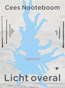 Licht overal - Cees Nooteboom - ebook