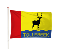 Vlag Tollenbeek
